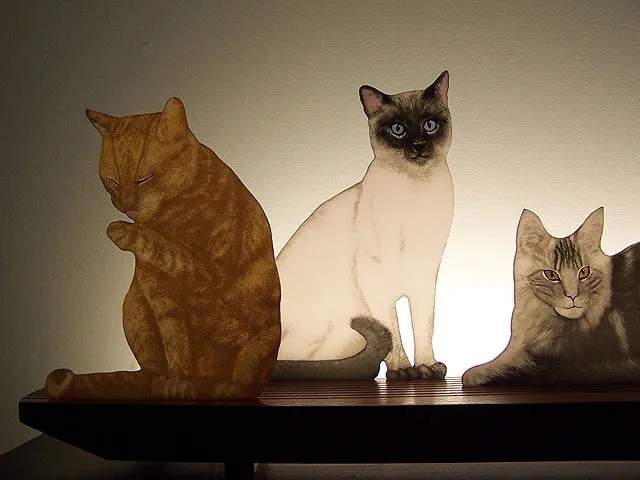 Animal Glasscapes: Mere Cats