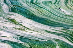 Flowing River Custom Art