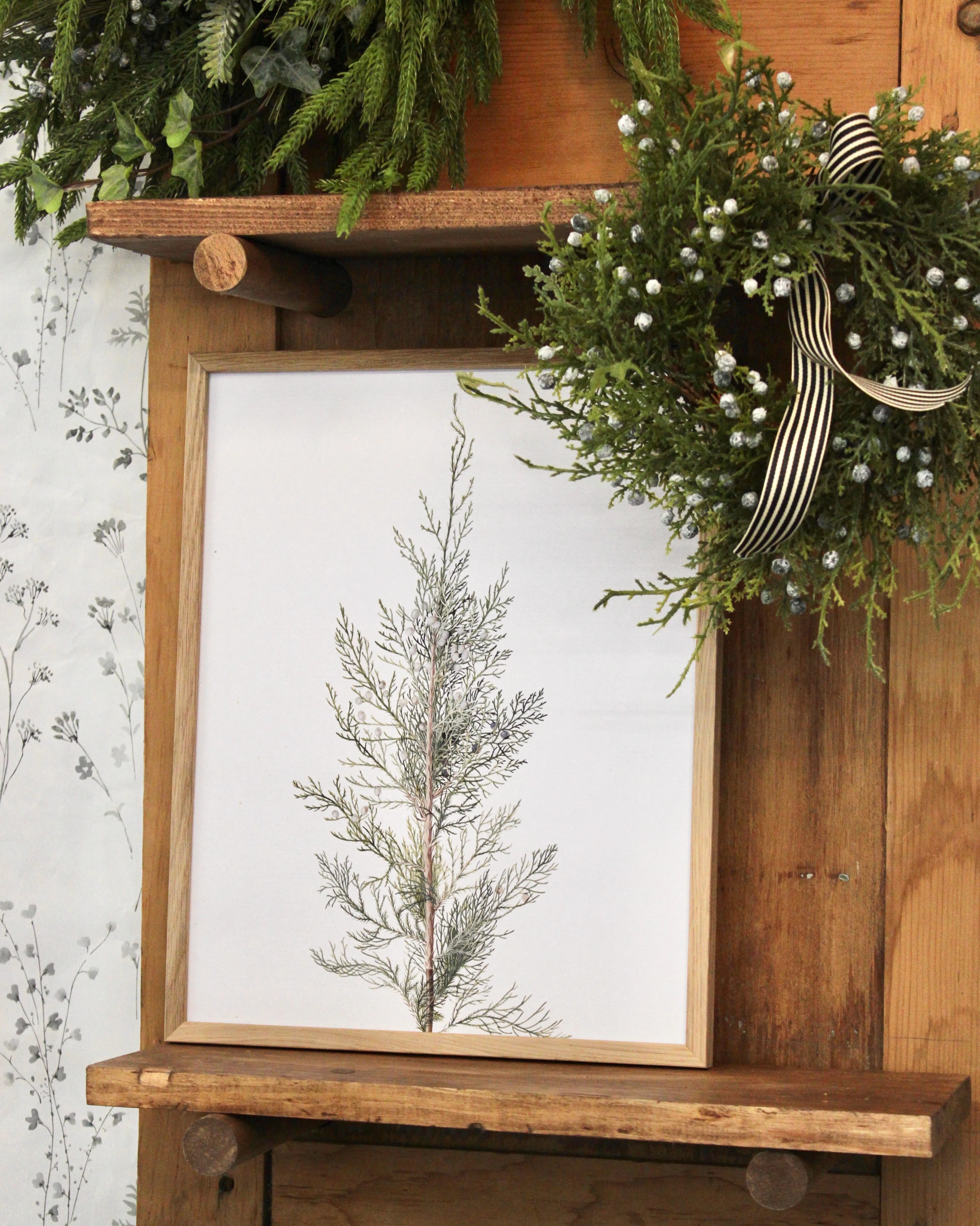 Framed Juniper Print