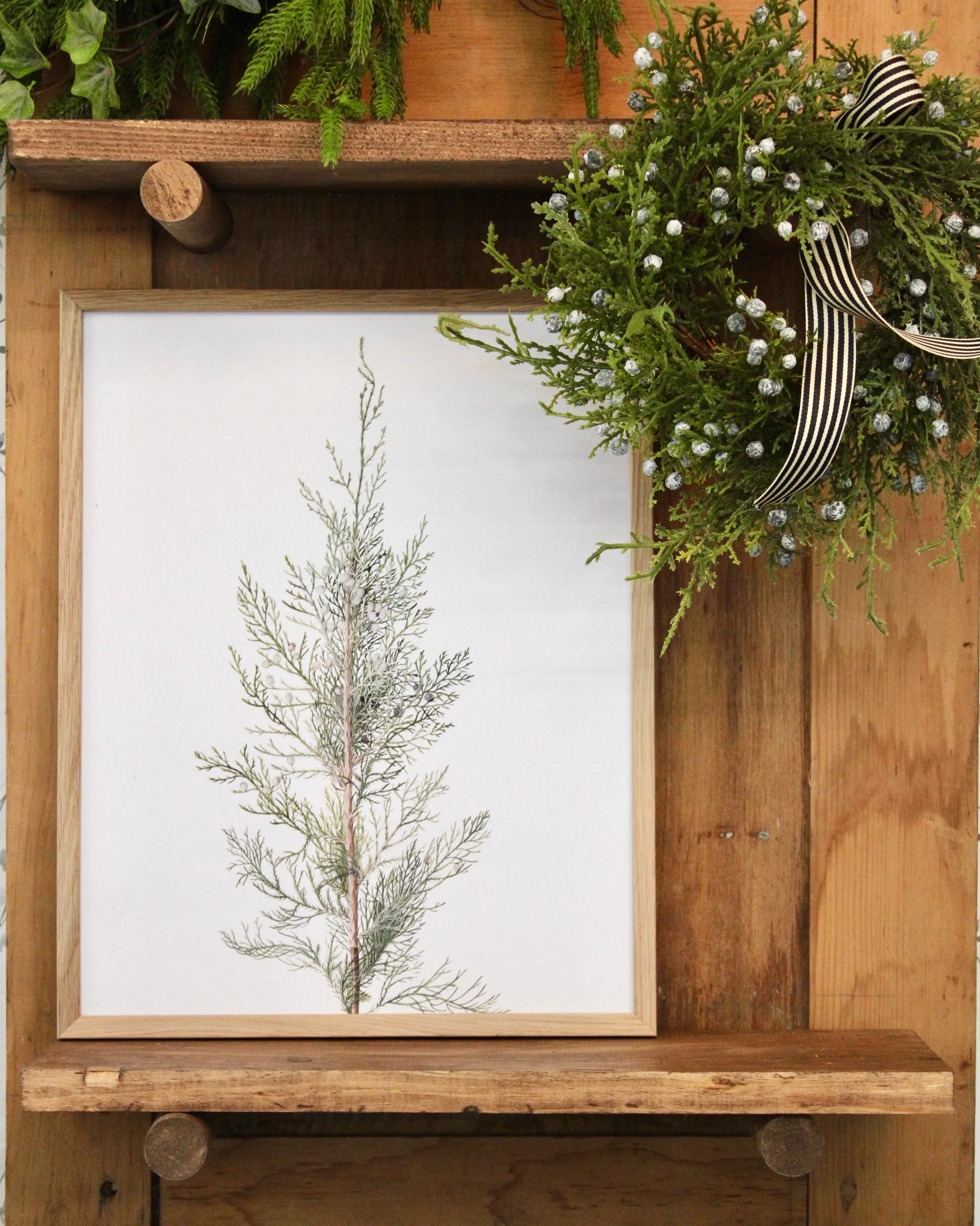 Framed Juniper Print