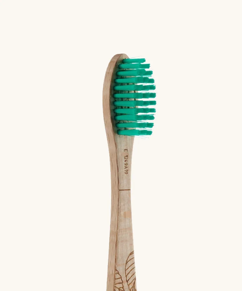 Georganics Beechwood Toothbrush - Medium Bristle
