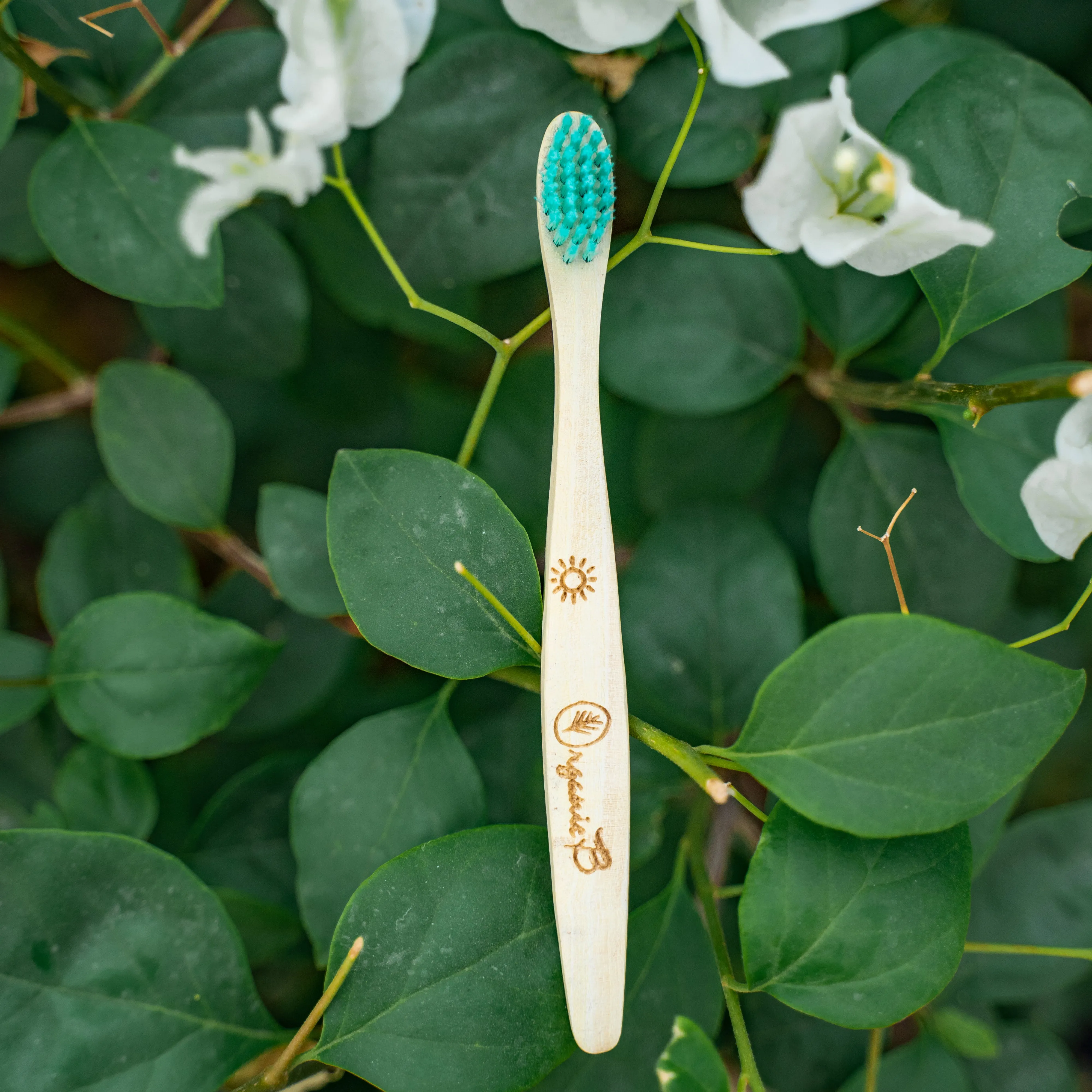 Neem Wood Organic Toothbrush for Kids | Pack of 2 |